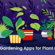 Gardening Apps for Plant Lovers