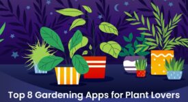 Gardening Apps for Plant Lovers