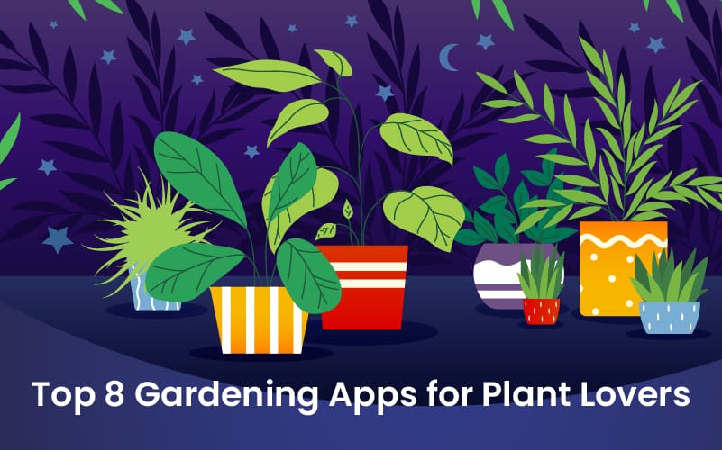 Gardening Apps for Plant Lovers